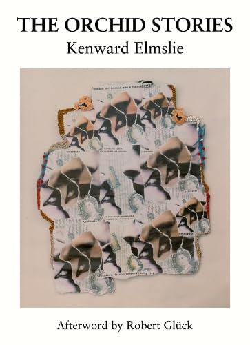 The Orchid Stories by Kenward Elmslie