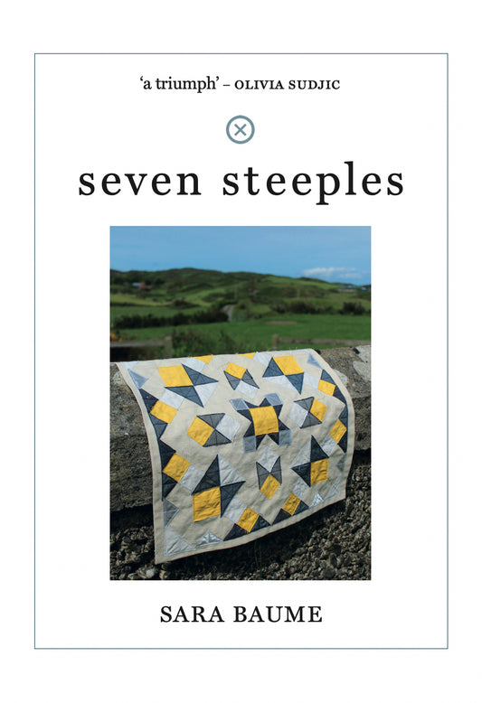 Sara Baume - Seven Steeples